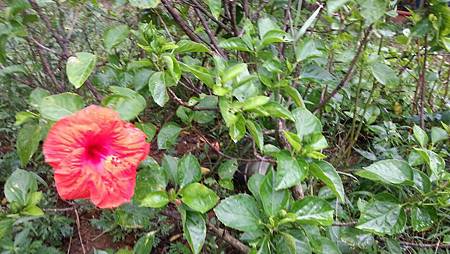 278852.jpg 278852.jpg