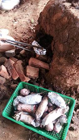 278861.jpg 278861.jpg