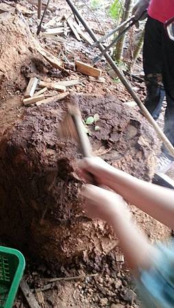 278863.jpg 278863.jpg