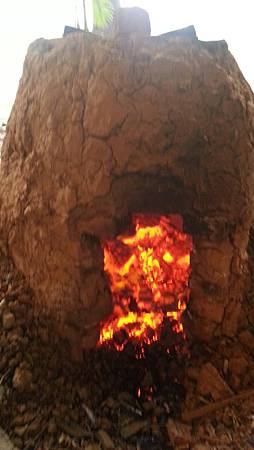 278872.jpg 278872.jpg