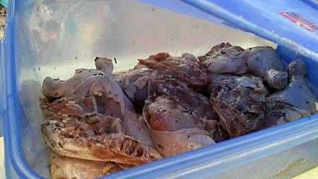 278881.jpg 278881.jpg