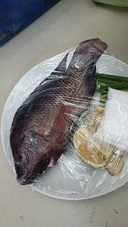 278883.jpg 278883.jpg