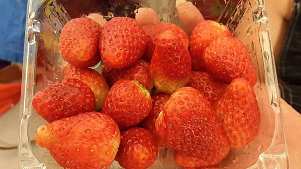 20140401_141840_resized 20140401_141840_resized