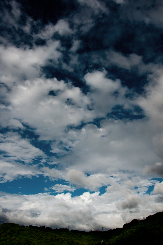 DSC_4427 DSC_4427