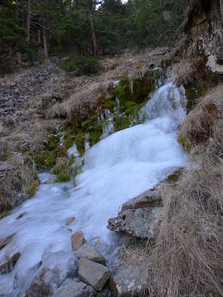 P1010814.JPG P1010814.JPG