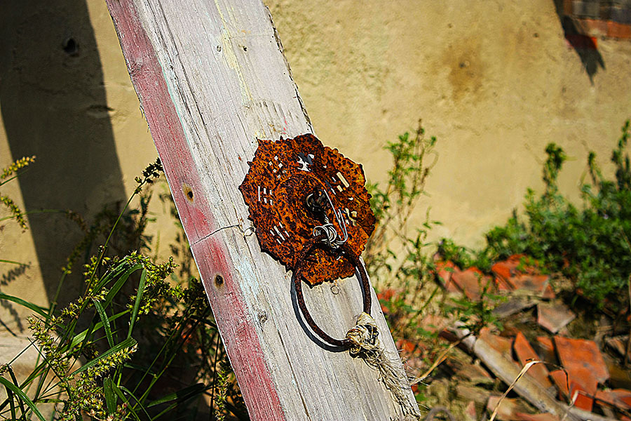 IMG_6269.jpg IMG_6269.jpg