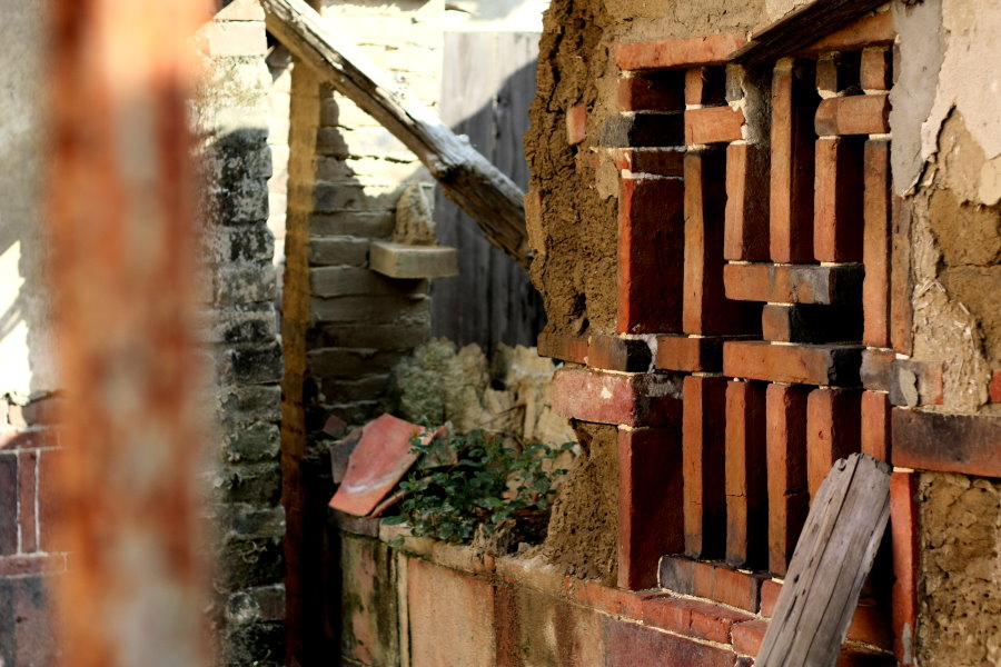 IMG_6295.JPG IMG_6295.JPG