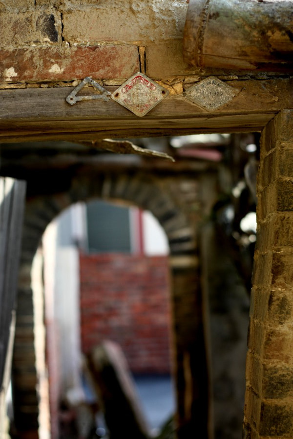 IMG_6297.JPG IMG_6297.JPG