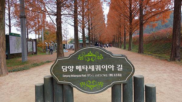 DSC03653 DSC03653