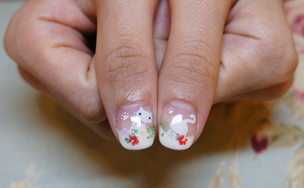 DSC02811_副本 DSC02811_副本