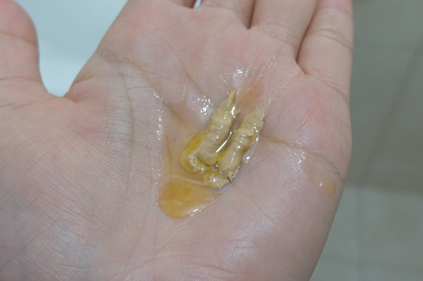 SAM_6657_副本.jpg SAM_6657_副本.jpg