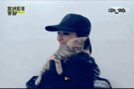 f0df17414619d882d17171395692bee8.gif f0df17414619d882d17171395692bee8.gif
