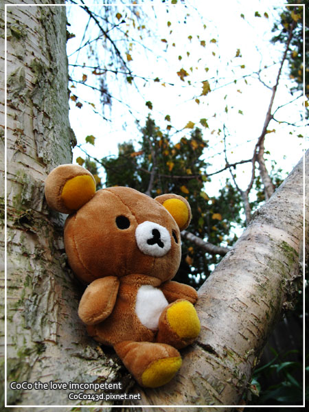 Autumn Autumn