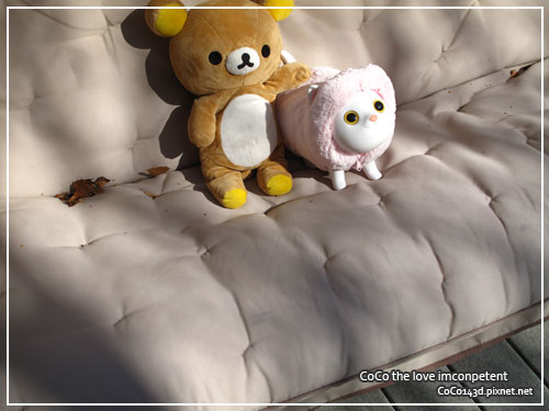 blogday3bear.jpg blogday3bear.jpg