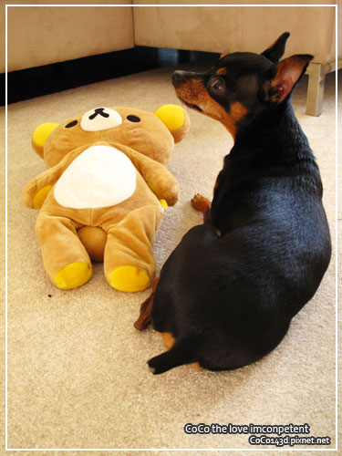 blogday8bear1.jpg blogday8bear1.jpg