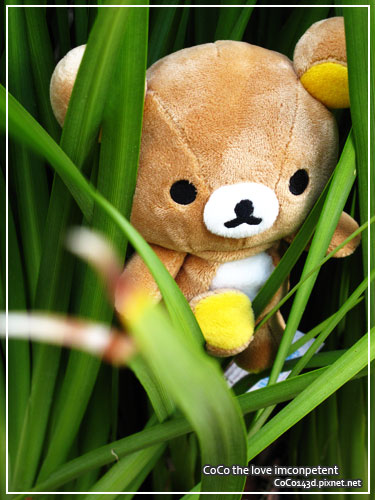 blogday12bear.jpg blogday12bear.jpg