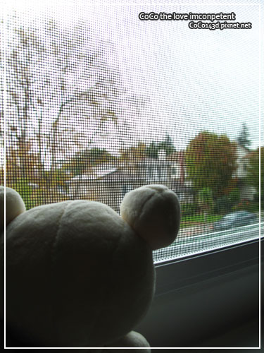 blogday14bear.jpg blogday14bear.jpg