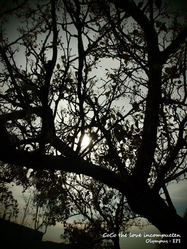 01302010.jpg 01302010.jpg