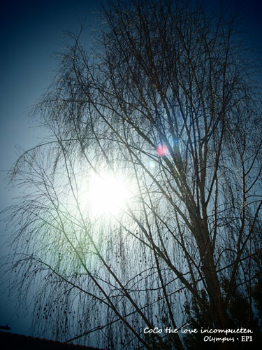 02072010.jpg 02072010.jpg