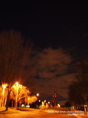 02112010.jpg 02112010.jpg