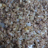 IMG_0012.JPG IMG_0012.JPG