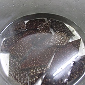 IMG_0005.JPG IMG_0005.JPG