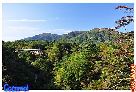 DSC_0334-jp2010.jpg DSC_0334-jp2010.jpg