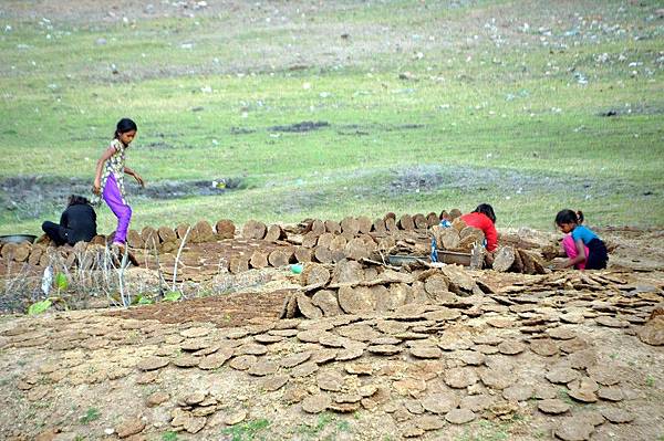 DSC_0601-1.jpg DSC_0601-1.jpg