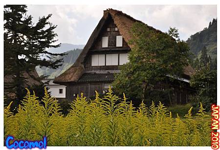 DSC_0488-jp2010.jpg DSC_0488-jp2010.jpg