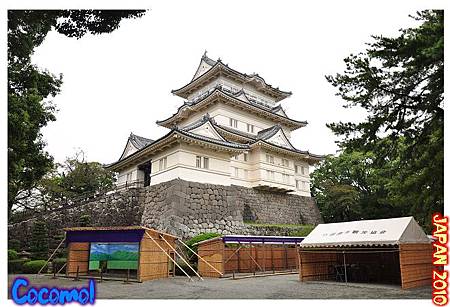 DSC_1248-jp2010.jpg DSC_1248-jp2010.jpg