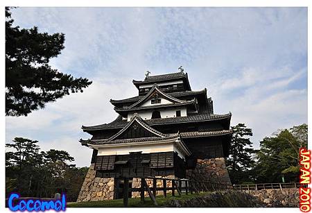 DSC_0949-jp2010.jpg DSC_0949-jp2010.jpg