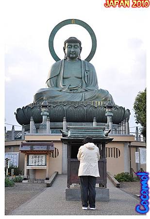 DSC_0318-jp2010.jpg DSC_0318-jp2010.jpg