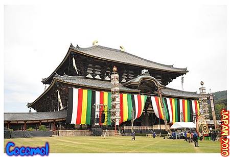 DSC_0201-jp2010.jpg DSC_0201-jp2010.jpg