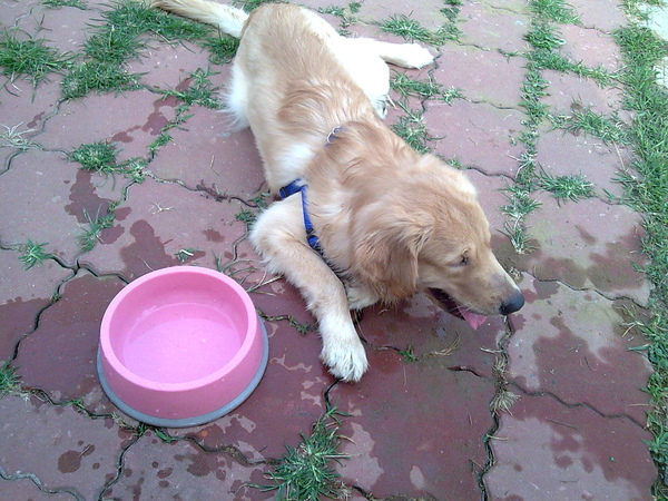 影像115.jpg 影像115.jpg