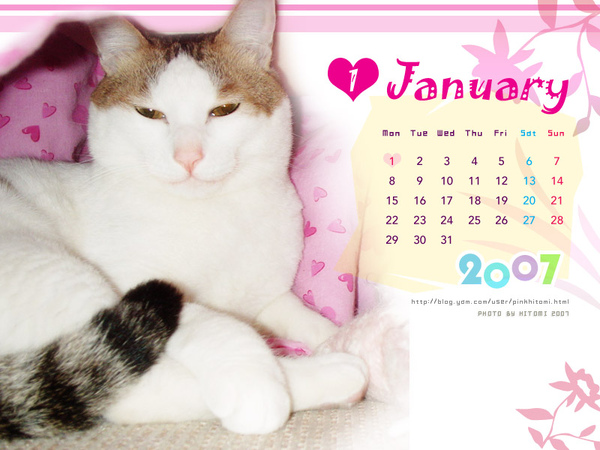 2007-JAN.jpg