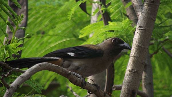 建平公園 002 建平公園 002