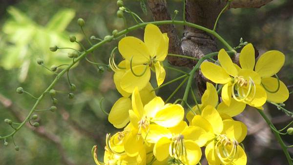 建平公園 035 建平公園 035