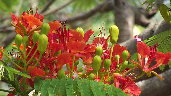 建平公園 058 建平公園 058