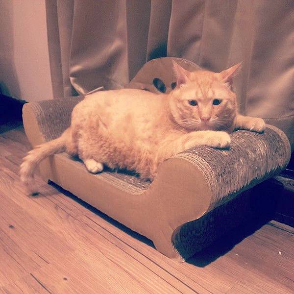 10455240_876561929024936_6137928491288692158_n