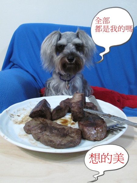 照片 151.jpg 照片 151.jpg