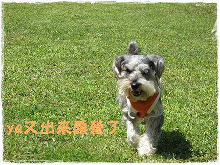 裡冷部落露營 裡冷部落露營