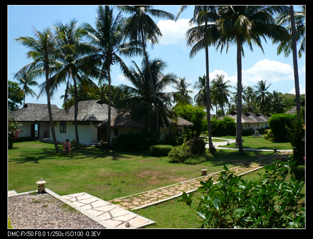 夏日海島-25-幸運冰情天使.jpg 夏日海島-25-幸運冰情天使.jpg