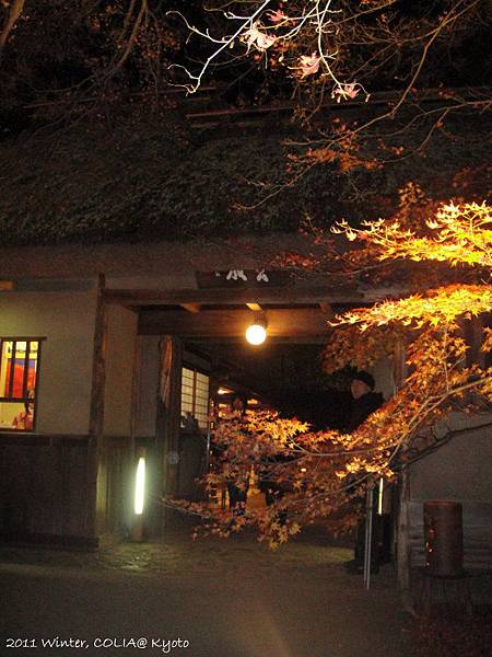 DSC04668 DSC04668