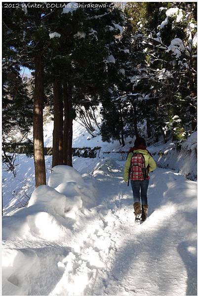 DSC01349-1 DSC01349-1