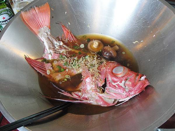 DSC07233.jpg DSC07233.jpg