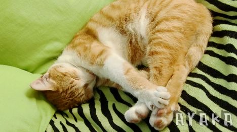 【日記】忙碌的1月~收到Grace gift工程靴了…還有…李李仁好帥!! - 第20張圖 下一張(熱鍵:c)