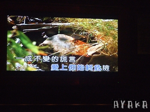 【玩樂】又一次的懷舊KTV - 第12張圖 下一張(熱鍵:c)