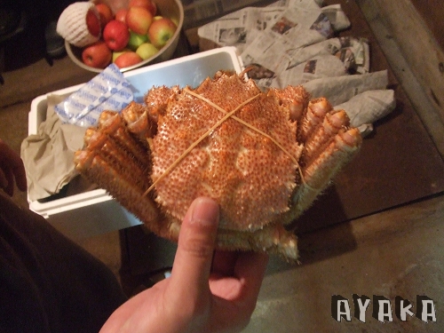 【北海道】DAY5-DAY9~悠閒日本生活(下)會胖不是沒道理~ - 第10張圖 下一張(熱鍵:c)