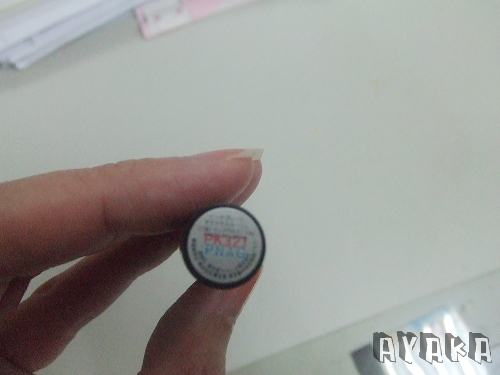 【彩妝】2009年AK彩妝凹凹賞~唇妝類 - 第6張圖 下一張(熱鍵:c)