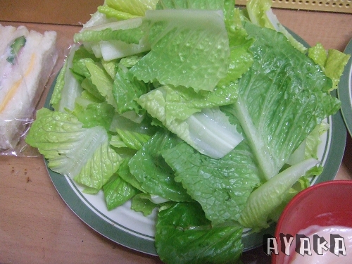 【日記】2月中~小時候偶像??!! - 第11張圖 下一張(熱鍵:c)